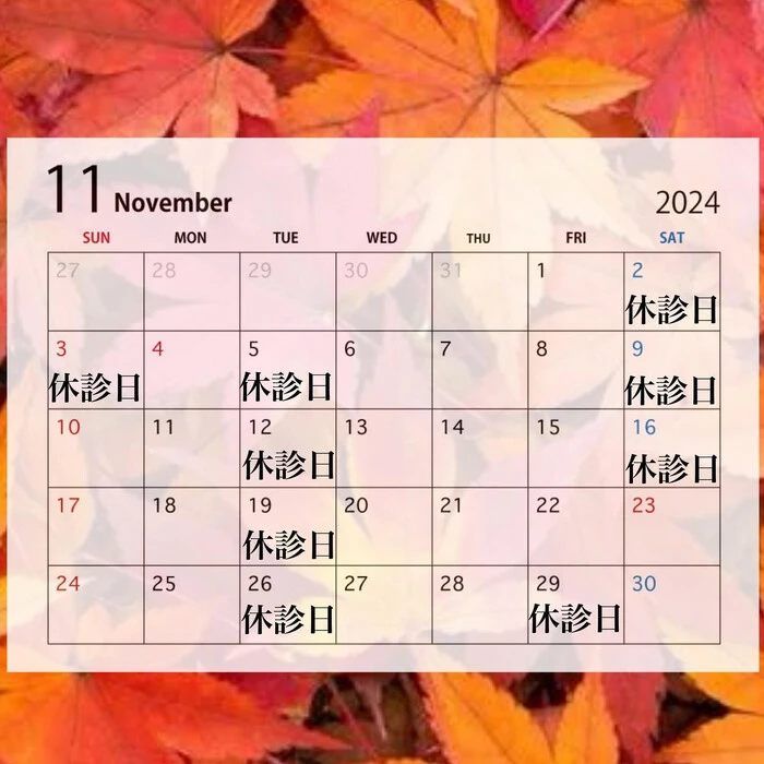 画像292