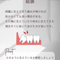 画像366