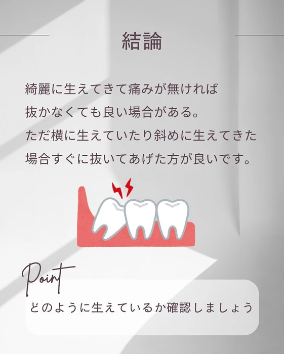 画像366